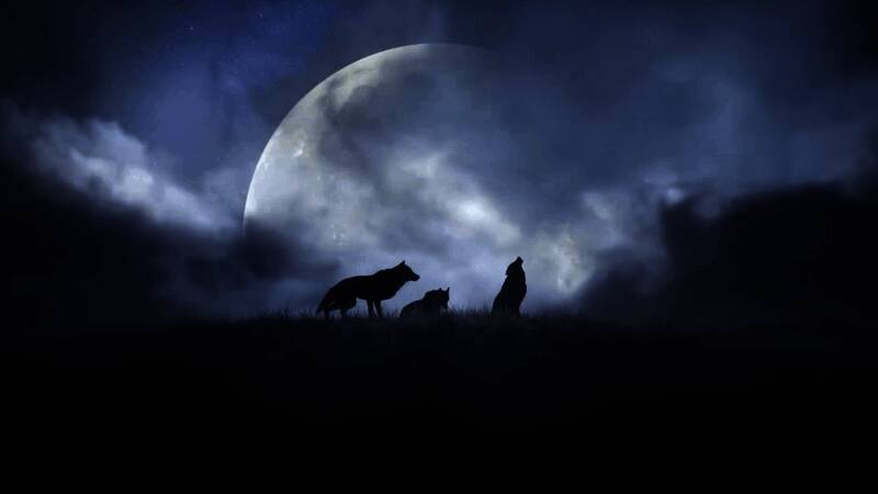 游戏场景展示中世纪废墟与阴沉天空，氛围压抑而神秘