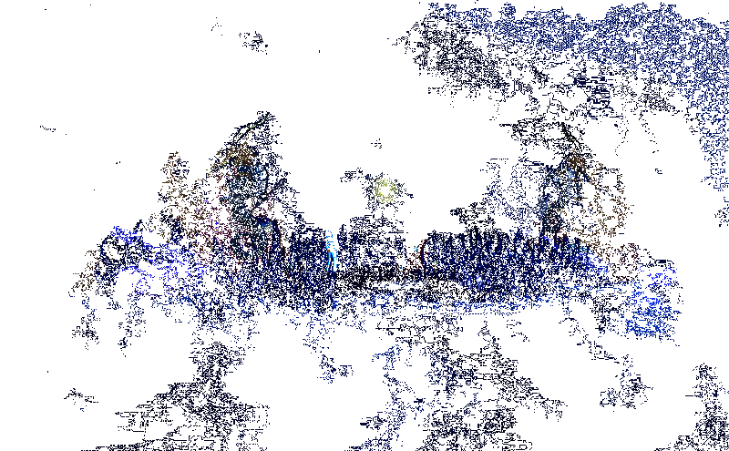 澄澈海水中漂浮的蓝色珊瑚与游鱼