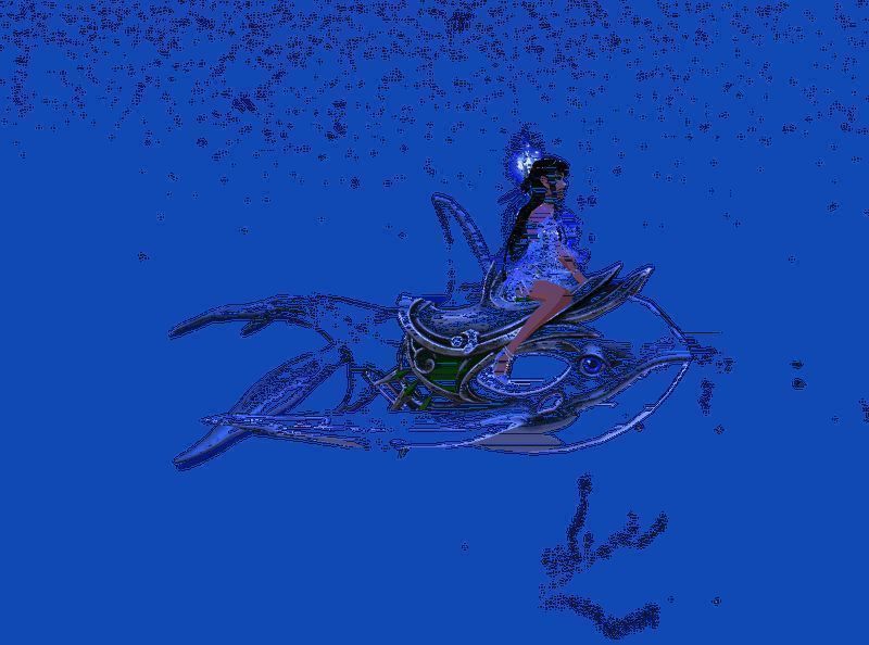 玩家骑乘逆戟鲸与其他玩家互动，气氛欢乐融洽