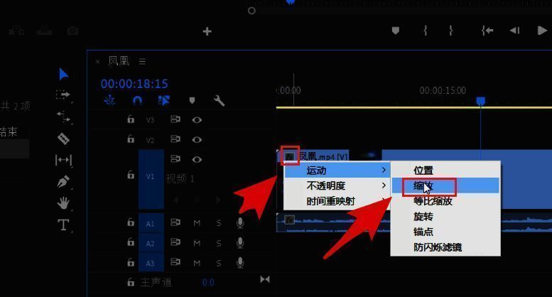 Adobe Premiere Pro效果选项菜单展示