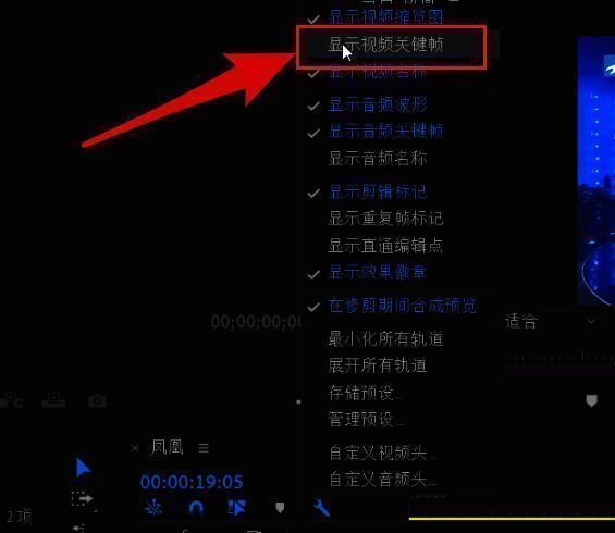 Adobe Premiere Pro显示视频关键帧选项设置界面