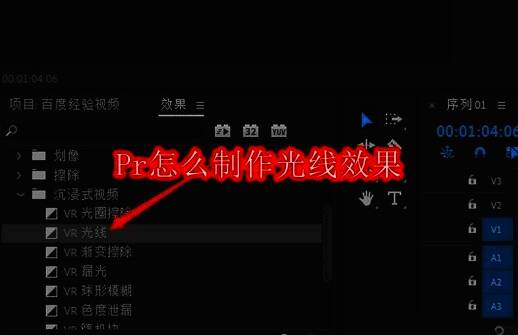 Adobe Premiere Pro界面展示，显示视频剪辑工作区