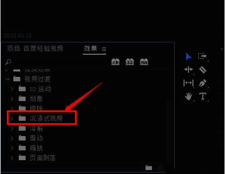 沉浸式视频选项展开后的效果列表截图