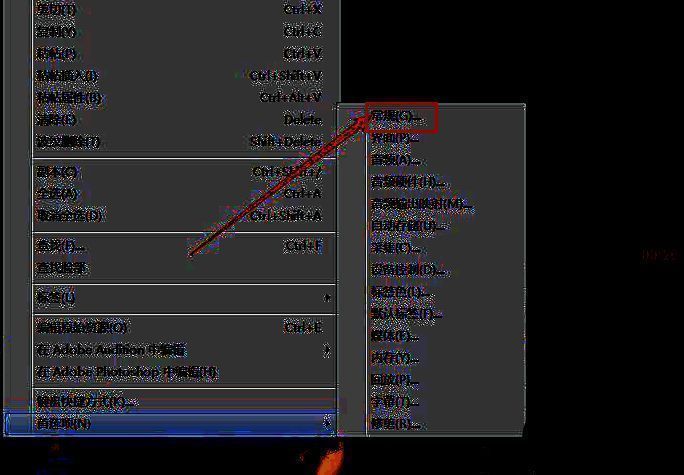 Adobe Premiere Pro常规设置中的默认标签和修改视频颜色按钮