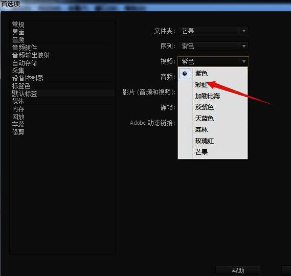 Adobe Premiere Pro中已成功应用彩虹色标签的界面展示