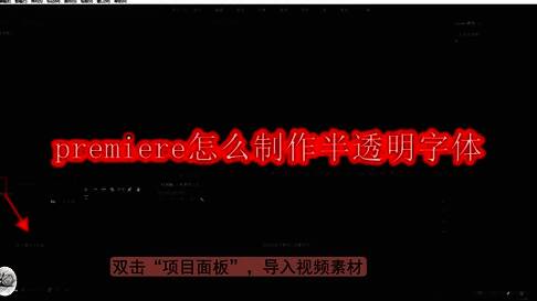 Premiere项目面板界面展示，显示视频素材导入操作