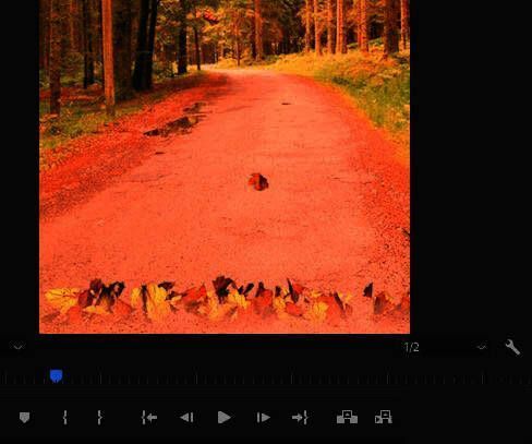 视频预览画面展示落叶边缘虚化后的自然过渡效果