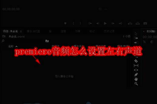 Adobe Premiere Pro软件界面展示，突出显示音频轨道区域