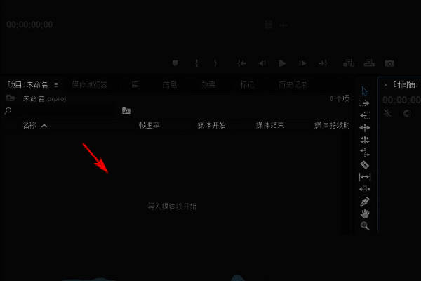 Adobe Premiere Pro项目窗口界面展示，鼠标指针悬停在双击区域