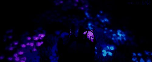 遐蝶站在花海中，阳光洒落在她身上，寓意希望与重生