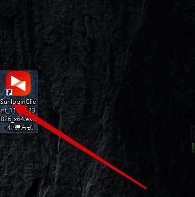 向日葵软件运行后显示在任务栏右下角的图标