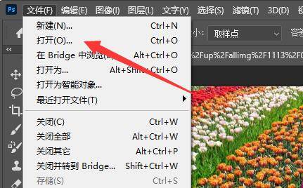 Photoshop界面截图，展示已打开的图片文件