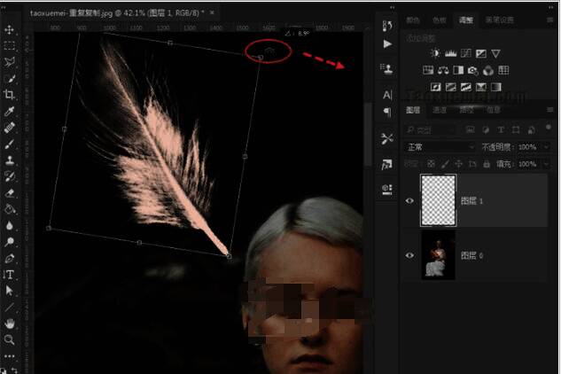 调整羽毛图像角度的操作示意图