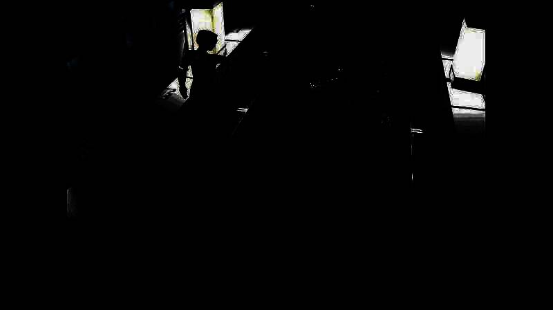 游戏原画展示恐龙潜伏于密林阴影中的惊悚氛围