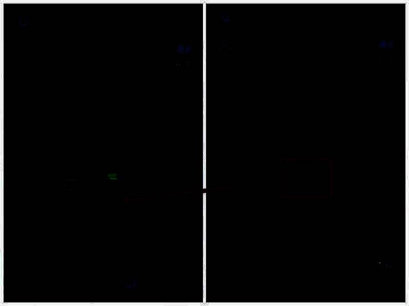 科普资料特写，黄色文字格外醒目，似乎隐藏着特殊含义