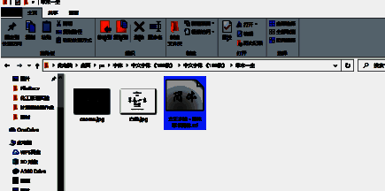 电脑资源管理器界面特写，显示包含字体文件的文件夹目录