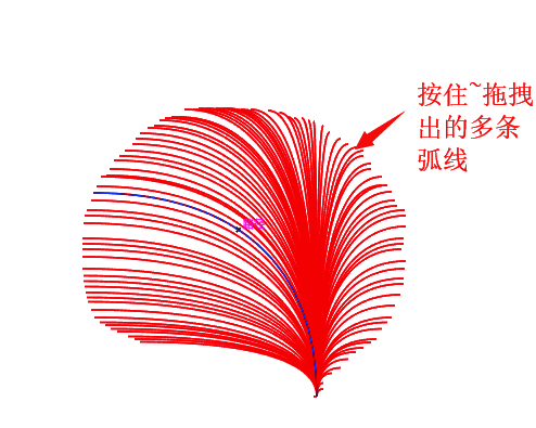 多条弧线排列效果图，线条分布均匀且富有节奏感