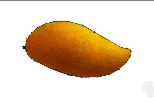 钢笔工具选中状态，光标对准图片边缘准备绘制路径