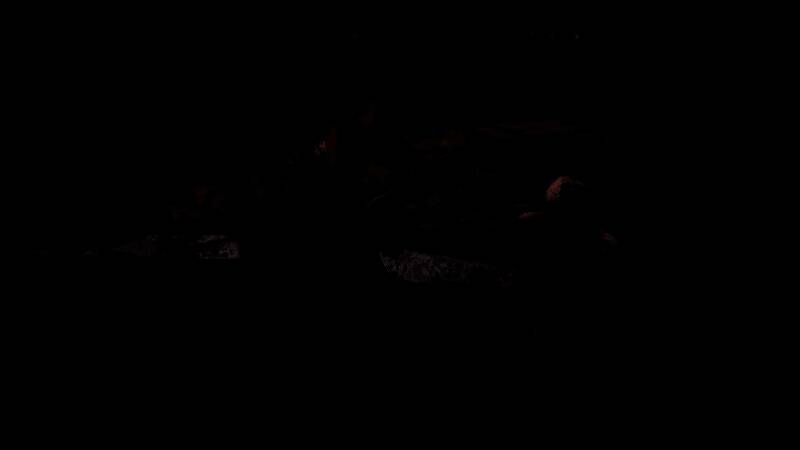 《怪物猎人：荒野》游戏界面截图，展示角色站在帐篷前的场景