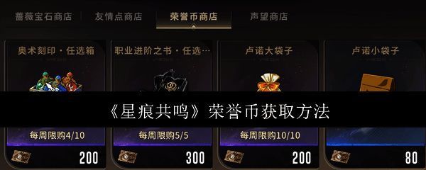 星痕共鸣游戏界面展示荣誉币相关信息