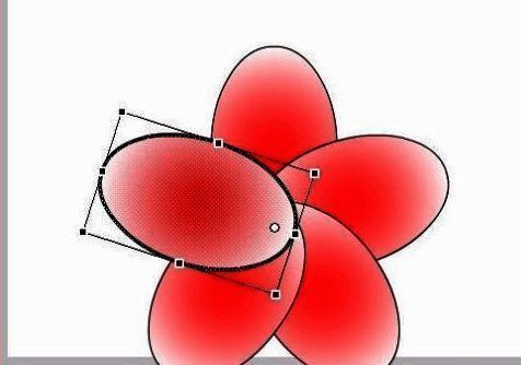 完成五次变形后形成的完整花朵图案