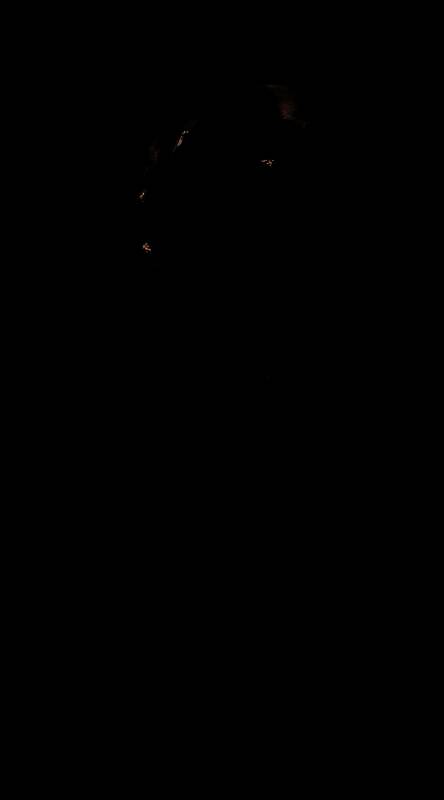 怪物概念艺术图展示了融合机械与血肉元素的独特设定