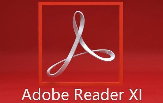 Adobe Reader XI界面展示，显示已打开的PDF文档
