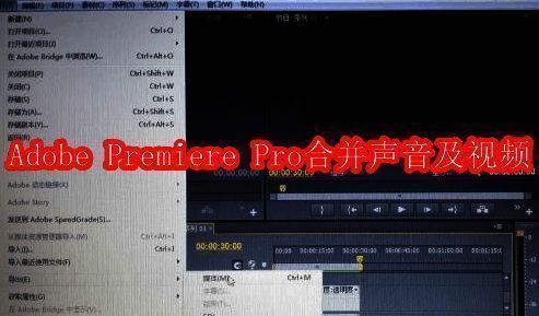 Adobe Premiere Pro CS6主界面展示，左侧为媒体浏览器，右侧为时间轴与预览窗口