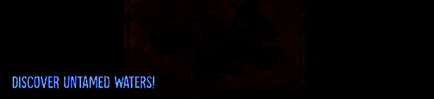 白天沙滩边的平静海面，几只海鸥盘旋其上