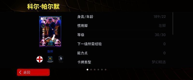 帕尔默增能属性面板展示