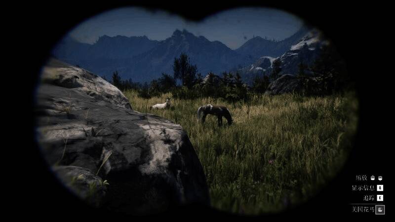 保留地东南角马匹刷新点实景图，环境开阔适合驯马