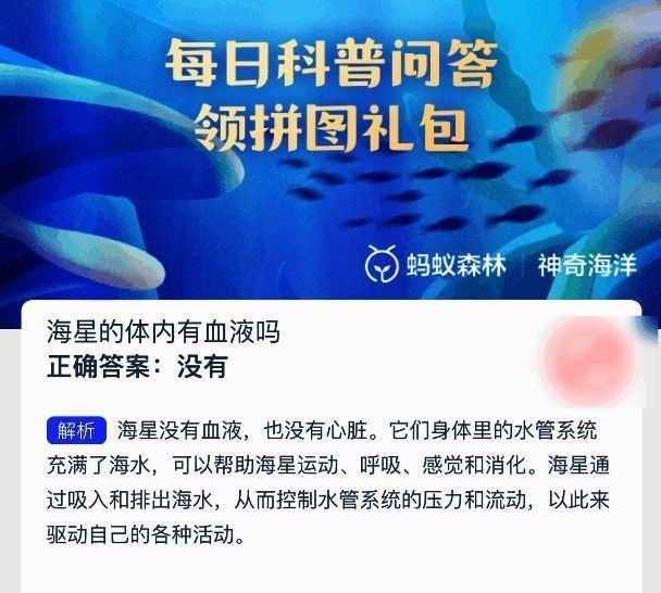 海星结构示意图，展示其水管系统分布