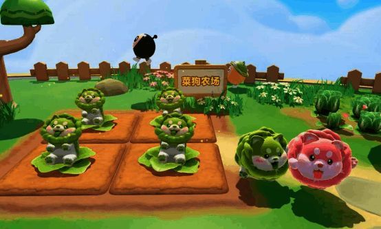 玩家在农场中种植白菜狗的场景，田地整齐排列，白菜狗在一旁守护