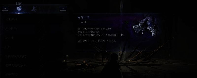 玩家与Boss新爵激烈对战的画面，背景为黑暗风格的城堡大厅