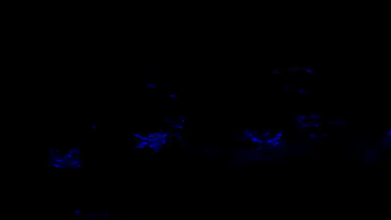 莫甘娜释放终极技能的瞬间画面，光影效果逼真