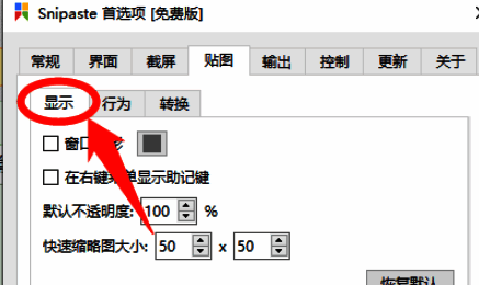 贴图设置界面截图，顶部导航栏高亮显示‘显示’菜单项
