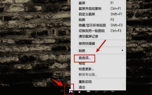Snipaste设置界面截屏页面选项列表，显示已勾选‘显示锚点’功能