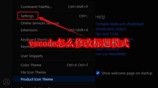 VSCode编辑器界面展示，显示了软件的基本布局和功能区域