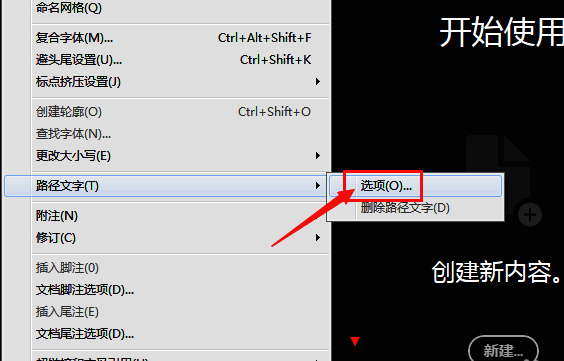 路径文字选项设置界面展示翻转勾选框