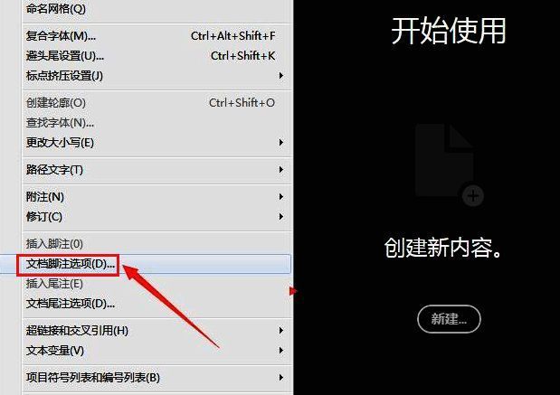 InDesign脚注选项窗口展示，版面标签页被选中