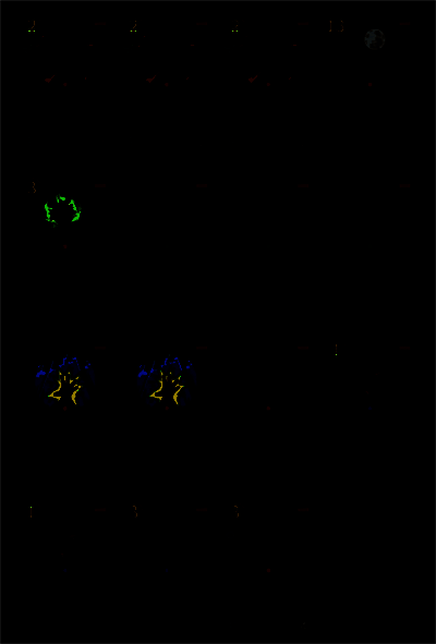 狼人卡组实战对战画面，展示卡组在对局中的压制效果
