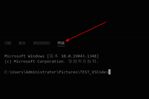 终端区域展开，显示当前终端窗口内容