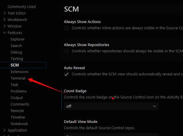 Vscode设置界面展示，右侧为功能调整区域