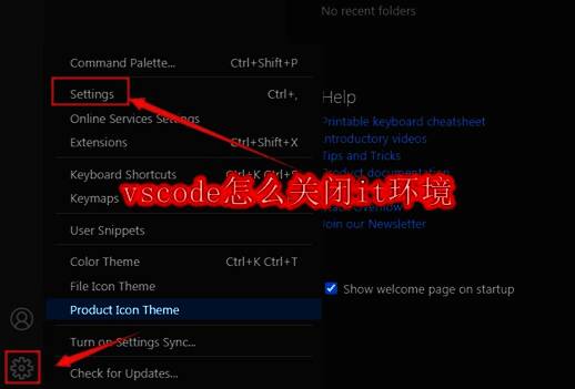 VSCode界面示意图，展示左下角设置按钮位置