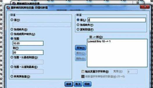 SPSS输出变量设置界面，包含变量名与标签输入框