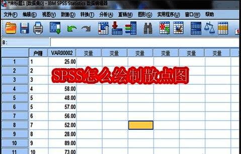 SPSS界面展示数据输入区域，表格中显示两列变量数据