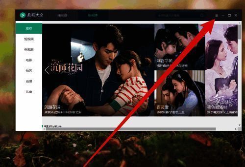 软件菜单界面截图，显示设置选项入口