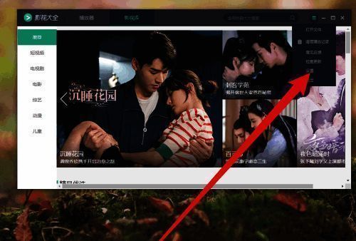 设置页面界面展示，包含高级选项入口