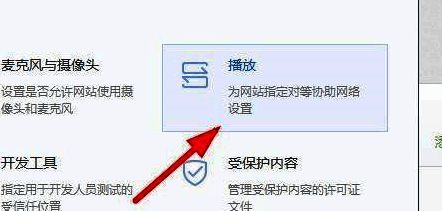 播放功能选项截图，显示播放设置的详细内容