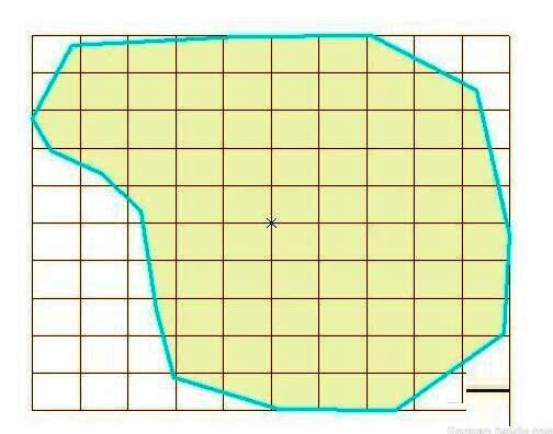 地图视图中显示整齐排列的渔网结构，呈现出规则的矩形网格布局